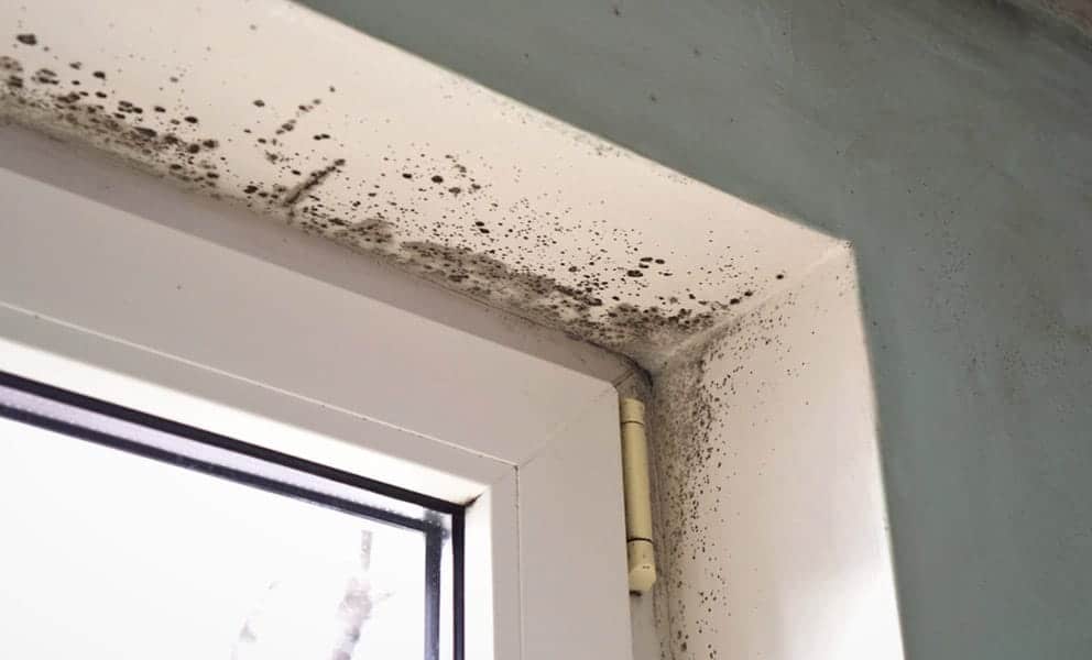 3 ways to stop condensation on walls in winter