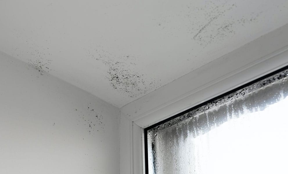 How to Cure Humidity, Damp and Condensation Inside Your Home