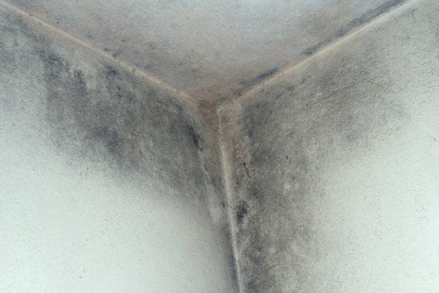 why do you get damp and mould?