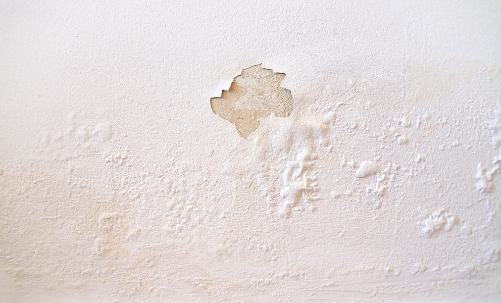 how to get rid of damp on walls