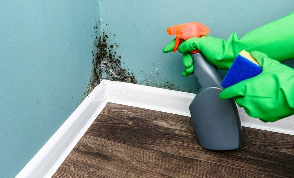 A-Beginner’s-Guide-to-Damp-Wall-Treatment