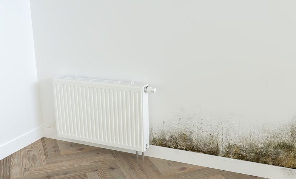 are flats more susceptible to damp?