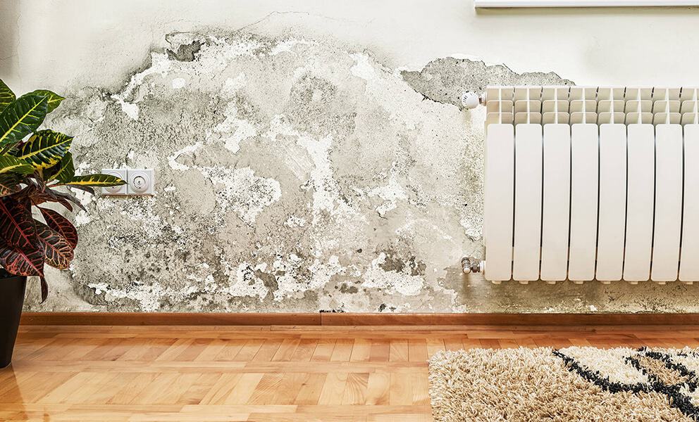 How to Stop Rising Damp in Your Home